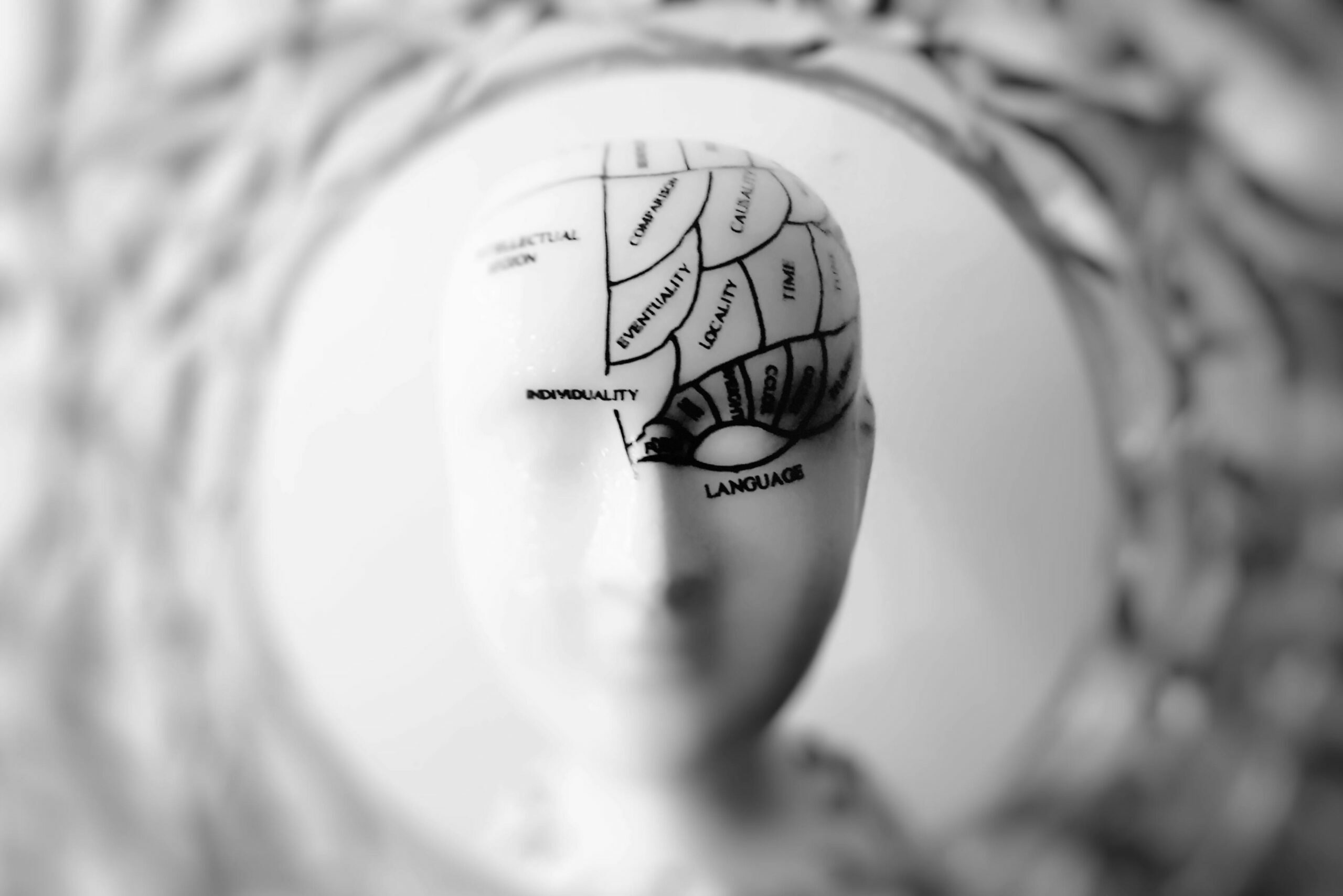 Close-up black and white image of a phrenology head with brain sections labeled.