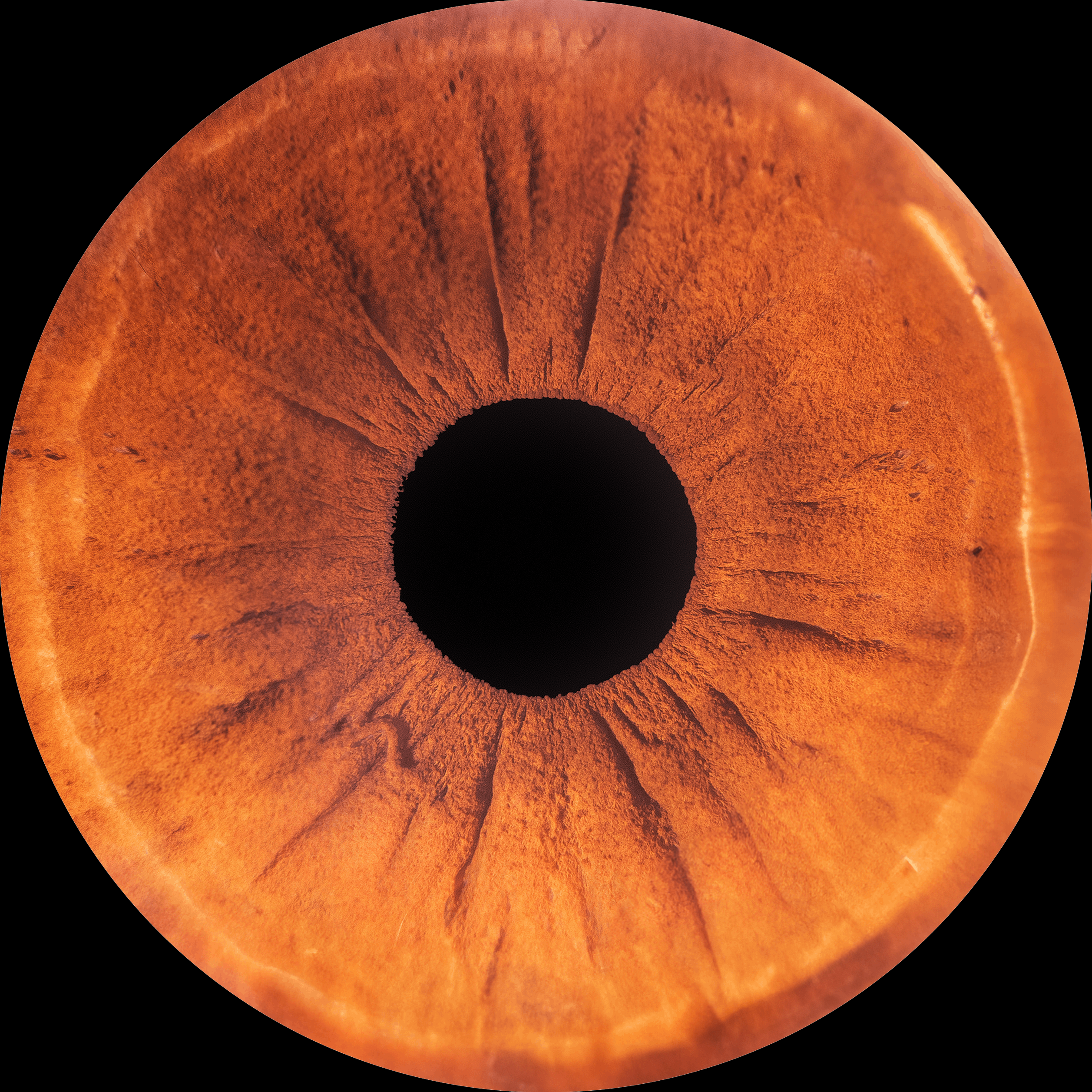 Detailed macro shot of a human eye's brown iris showing intricate patterns.